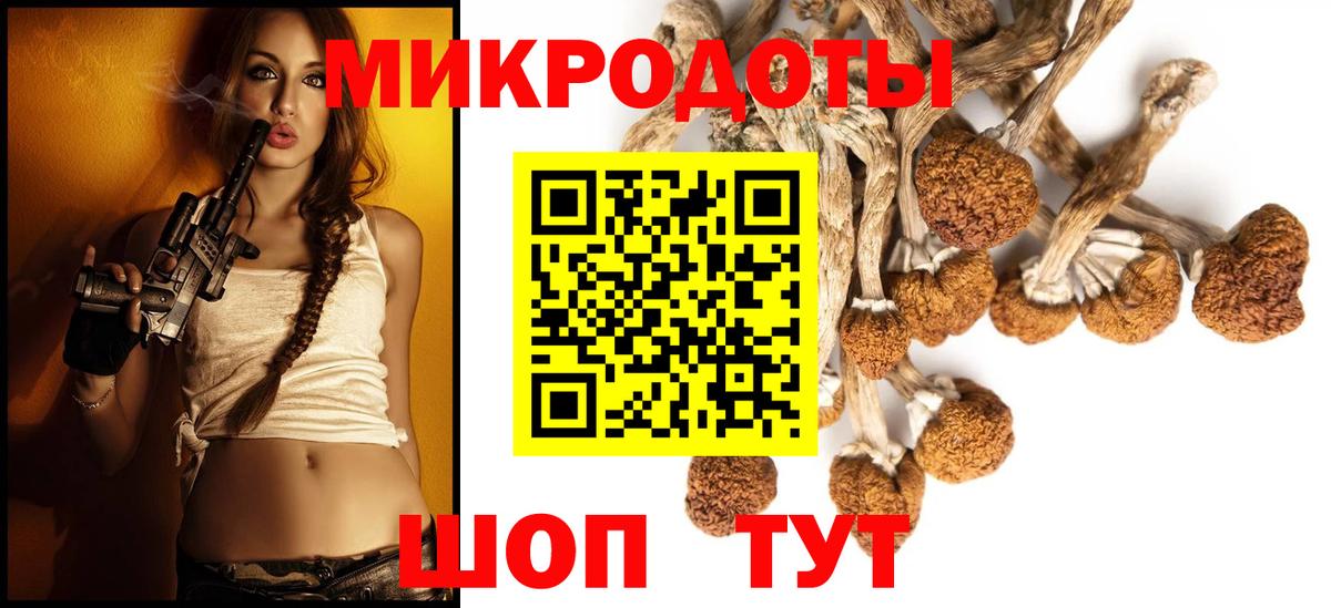 Камень-на-Оби  Галлюциногенные грибы Cubensis  Вход с VPN  Галлюциногенные грибы Psilocybe 
